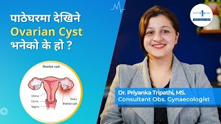 पाठेघरमा देखिने Ovarian Cyst भनेको के हो? What is an Ovarian Cyst? Dr Priyanka Tripathi | Clinic One