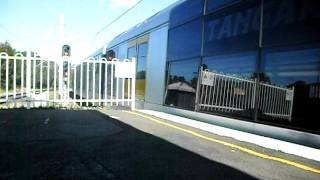 Cityrail Tangara G set G5 arriving at Oatley