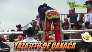 FURIA DE CAMPEÓN le da PORRAZO al TAZAJITO DE OAXACA