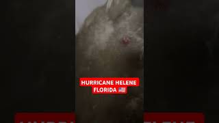 Hurricane Helene - Florida 🇺🇸 🖤