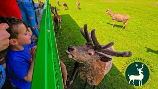 Bucklebury toddlers Farm with Emily & Thomas