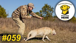 Building Excellent Duck Hunting Retrievers | Marty Haynes