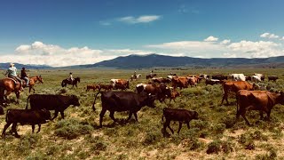 Ranchin' in Wyoming | Cattle Drive