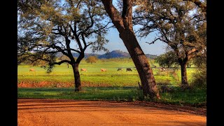 SOLD! -- Rockin' Ox Ranch! -- Texas Hill Country -- Jesse James Real Estate -- Llano, TX.