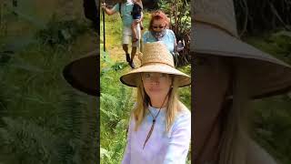 Latest episode! Exploring Kona Cloud Forest Sanctuary in Kona, Hawaii Island💚💙 #happy #adventure