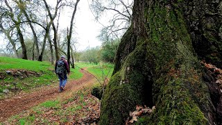 San Juan Rapids trail| Fair Oaks, CA