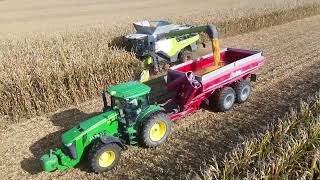 🇫🇷 Moisson de MAÏS Grain 2023 XXL // LEXION 8800TT // LEXION 8700TT // Transbordeur 😱🌽💨