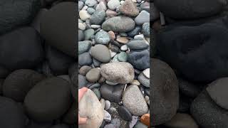 Can i break it? #stone #seagulls #seaside #sea