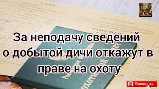 За неподачу сведений о добытой дичи откажут в праве на охоту