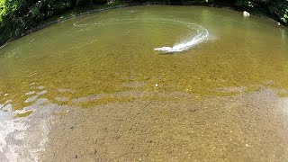 Kyosho Jetstream 600 EP River running.