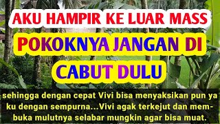 Vivi Pramugarri Ayu Yang Membuatku Jadi Ingin