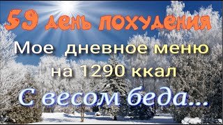 Вес стоит на месте //Мое меню на 1290 ккал//Похудела на 7,4 кг//Худею со 102.7 кг//59 день похудения