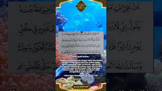 Tabarruk dengan auliya • Imam Syafii #sarungulama #shorts