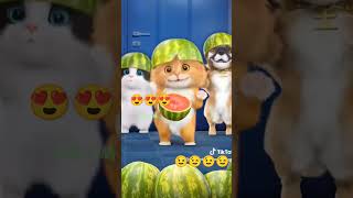 dudi dudi dam dam #Dancing cat Funny #shorts #shortsfeed #youtubeshorts