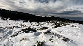 Връх Конярника, пл. Витоша | Konyarnika Peak, Vitosha mountain