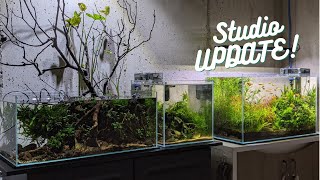 Aquascape Home Studio UPDATE!