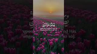 إن الله وملائكته يصلون على النبي..)   🌹❤سورة : الكهف 🌷💙 القارئ : اسلام صبحي🌻💛 #mali_emandar ✨🖤