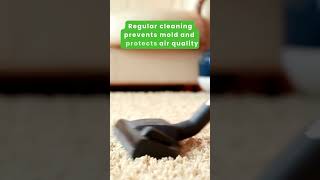 Worried about mold growth in damp areas? Regular cleaning is the key!