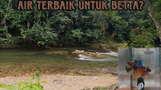 EKSPERIMEN BELA IKAN DALAM AIR SUNGAI. BUIH SEBAGAI INDICATOR.