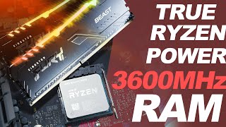 True RYZEN POWER with 3600MHz RAM? -- Kingston FURY Beast RGB 32GB