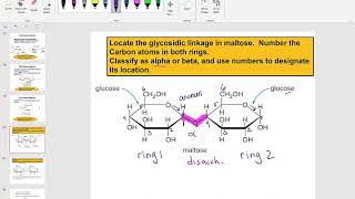 Chapter 20 Carbohydrates Lesson 3