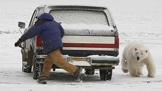 The Terrifying Final Moments Of Horatio Chapple: MAULED By a Polar Bear