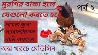 মুরগির বাচ্চাকে অল্প খরচে মেডিসিন পর্ব ২ | দেশি মুরগি পালন পদ্ধতি | desi murgi palon 2024