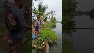 Mancing ikan Mujair di spot Liar Danau Bekasi #shorts