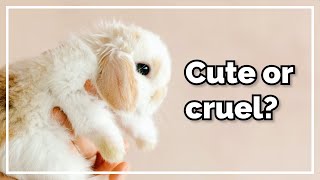 The Problem With Cute Faces (and Why Vets Want It To Stop)