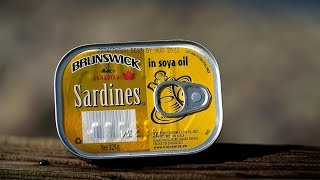 Blacks Harbour Canned Sardines | WE ARE THE BEST