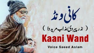 Poetry Kaani Wand By Saeed Aslam Punjabi Shayari Whatsapp Status