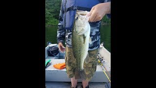 HUGE Largemouth Bass on a Wacky Rigged Senko at Lake Saltonstall