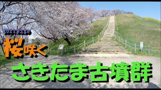 【VLOG】桜咲く さきたま古墳群 埼玉県行田市 2021.03.26