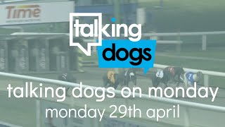 Talking Dogs on Monday 29th April - Select Stakes, 600 & More!