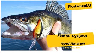 Ловля судака троллингом. Рыбалка с лодки #fivefishinglv