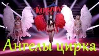 Цирк Кобзов Николаев 2016 Ангелы цирка - Номер "Ангел цирка"(6/10) Circus