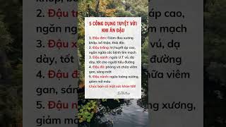 5 Công cụ tuyệt vời khi ăn đậu #suckhoe #doisong #baihoccuocsong #xuhuong #reels