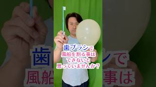 歯ブラシでも風船は割れる【Even a toothbrush can pop a balloon.】#shorts