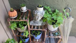 Indoor/ Outdoor Plant Stand from Amazon