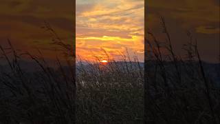 #youtubefeed #youtubeshorts #youtubevideos #sunset IBRA IM