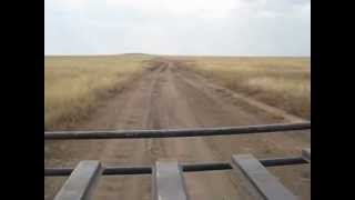 Road Riding Serengeti