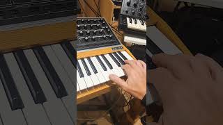 beautiful moog one lead?