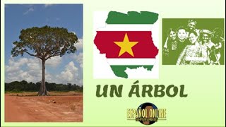 Clase de Literatura: "UN  ÁRBOL" (Poema Surinamés de Dobru)