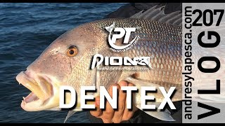 PIONEER JIGGING COMBO "DENTEX 5,5 KG"