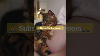 #pregnancybelly | Pregnancy transformation #pregnancy #shorts #shortsviral #alibaba #pragnant #baby