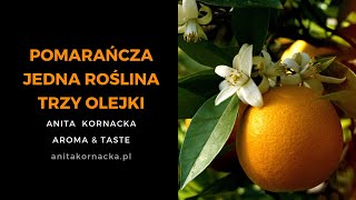 Olejki dōTERRA - Pomarańcza