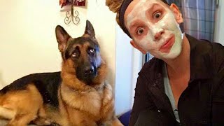 When your dog gives you the side eye 😄 Funny Dog and Human Video 2024