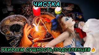 РАССКЛАД ТАРО+ОБРЯД ЧИСТКИ🔥ИЗБАВЛЯЕМСЯ ОТ СУЩНОСТИ ЛЯРВ КОТОРЫЕ ЗАСЕЛИ КРЕПКО✒️ГАДАНИЕ МАГИЯ ПОРЧА✒️