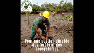 Limbé : Inauguration du Centre intégré pour l’éducation environnementale