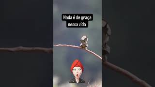 Até o mundo animal nos ensina isso! um homem precisa isso para...